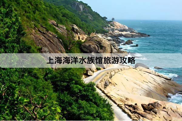 上海海洋水族館旅遊攻略：門票、交通、開放時間與參觀重點一次看